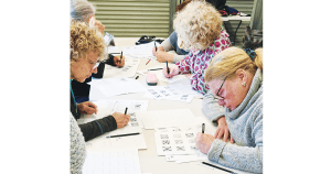 June Womens Shed Arcadia