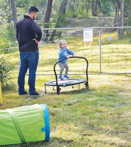 Middle Dural Toy Library Fires Up Interest With Open Day