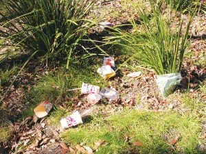 Hidden in the Hills - Destructive Dumping