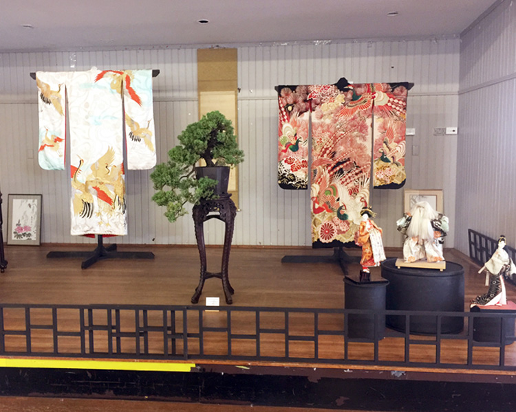 Bonsai Society of Australia Annual Show