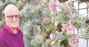 Bromeliad Society Spring Show