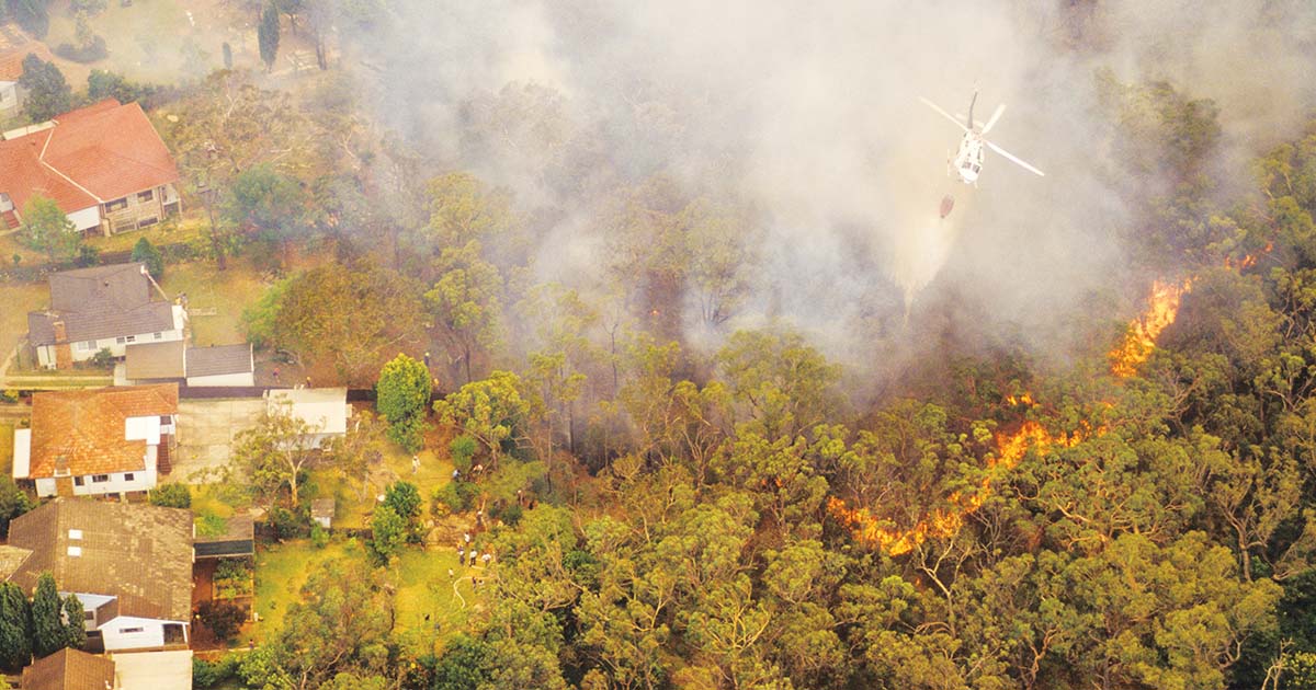 Hornsby Shire Council Secures Funding To Prepare The Community For Bush Fires
