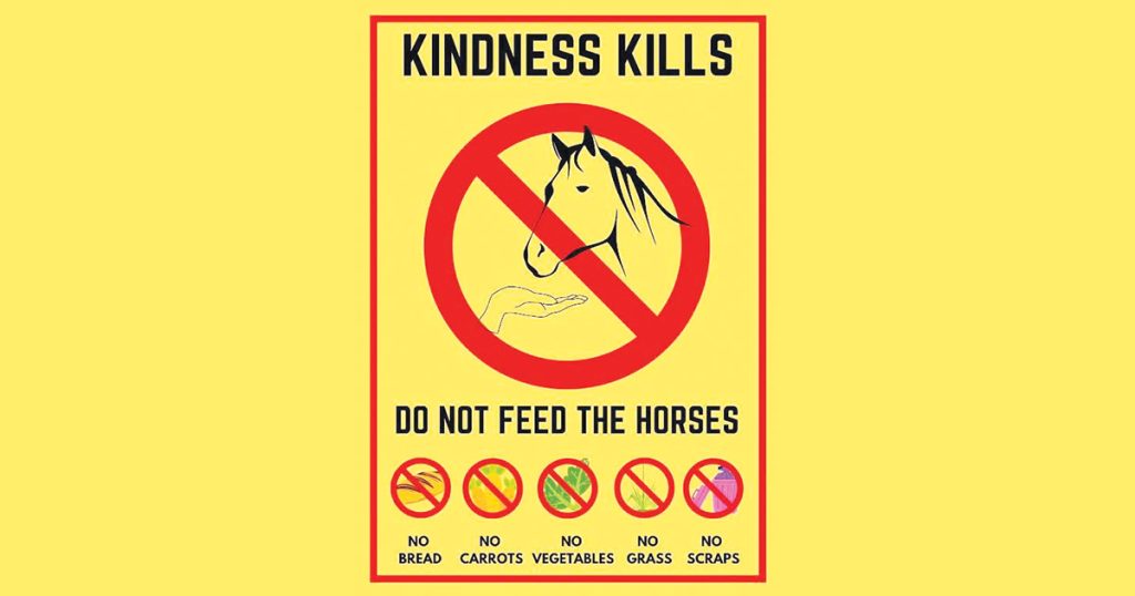 Please Don’t Feeding Horses