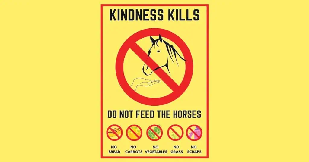 Please Don’t Feeding Horses