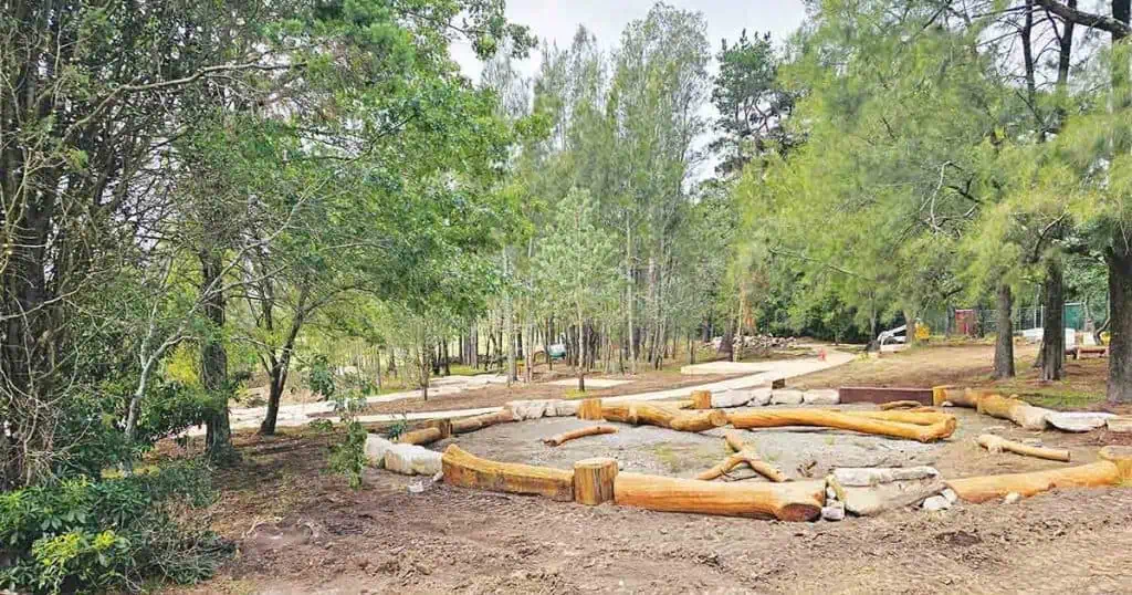 Developing a Unique “Children’s Forest” in Fagan Park