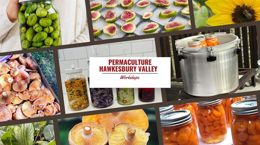 Permaculture-Hawkesbry-Valley-Workshops