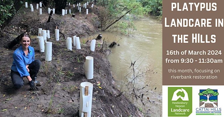Platypus Landcare in the Hills
