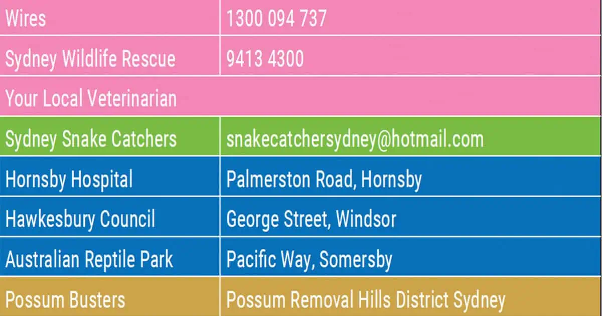Information for Rescuing Native Animal