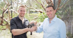 Wildlife Sanctuary: Meeting Some Feathery And Furry Friends