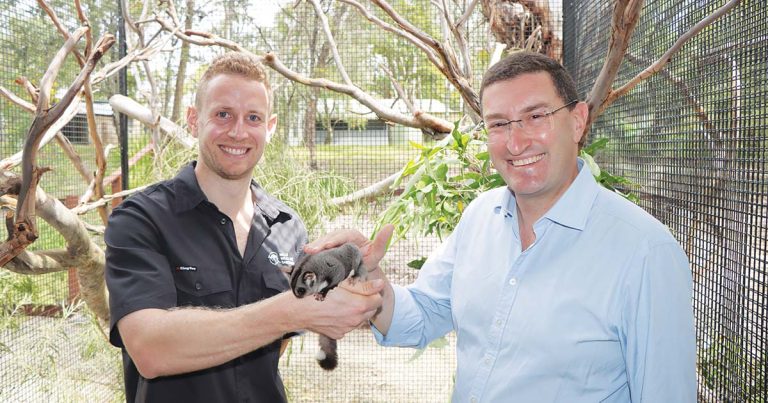 Wildlife Sanctuary: Meeting Some Feathery And Furry Friends