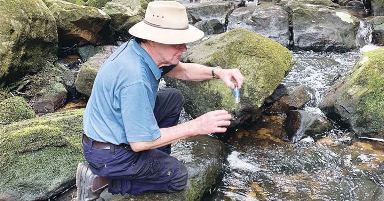 Can Kids still paddle safely in our local Creeks