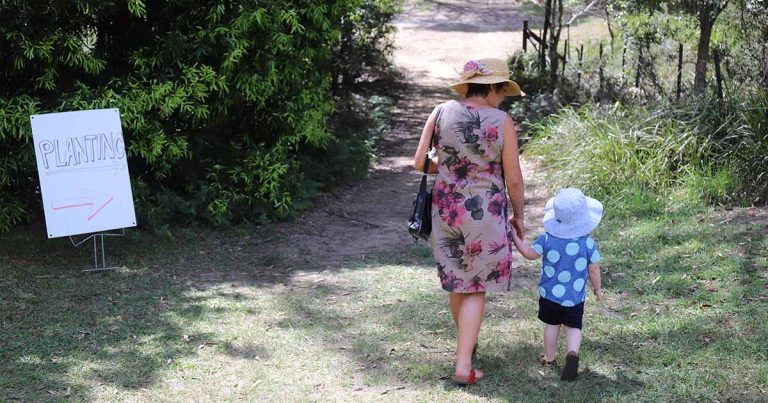 Draft Hornsby Shire Social Plan, adopted at last night’s Council meeting for public exhibition0