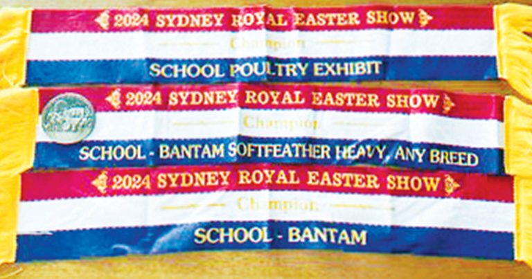 Royal Easter Show