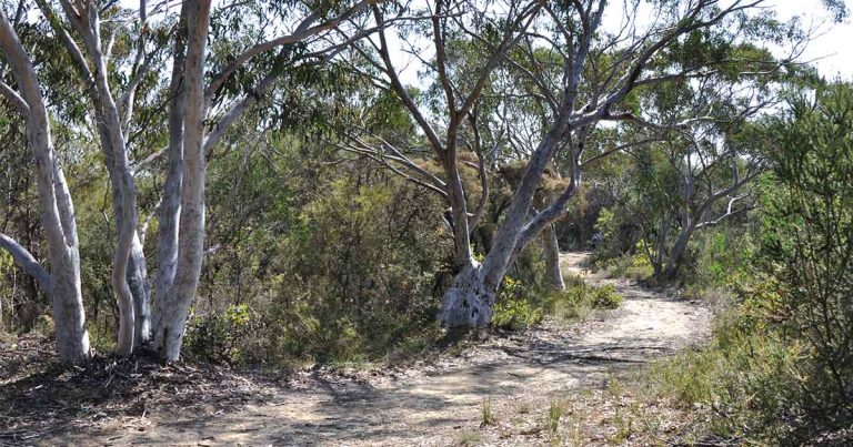 Hidden In The Hills: Murray Park Road Track
