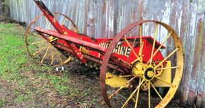 News From Friends Of Fagan Park
