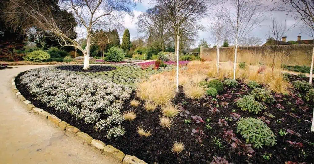 Winter Gardening Tips