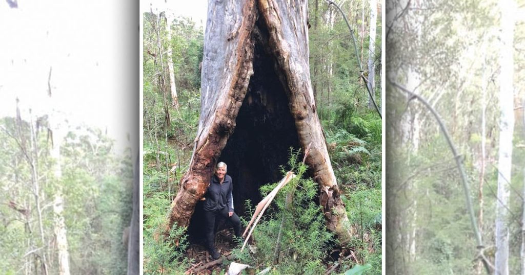 Tench's Prospect Australia Mountain