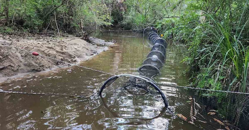 Platypus Month: The Platypus Project In The Hills