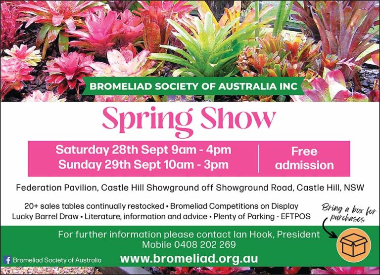 Bromeliad Spring Show