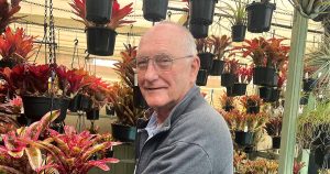 Bromeliad Society, Bromeliad Plant