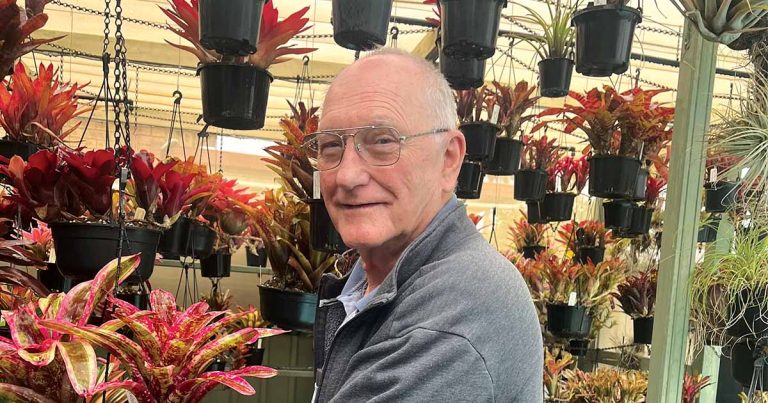 Bromeliad Society, Bromeliad Plant