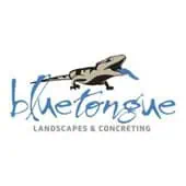 Bluetongue Landscapes and Concreting Bluetongue Landscapes and Concreting