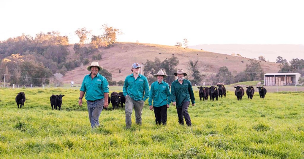 Buying Grass Fed Beef by Taylor Fine Foods