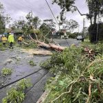 Storms Hit Hills and Hawkesbury