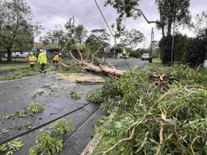 Thunderstorms Hit Hills And Hawkesbury