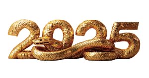 Happy New Year - Year of the Snake