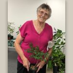 Macquarie Towns Garden Club