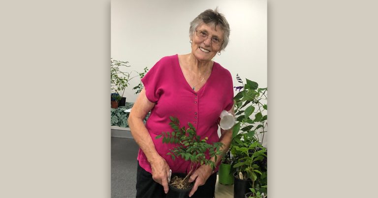 Celebrate The Plant Sale At Windsor Library!