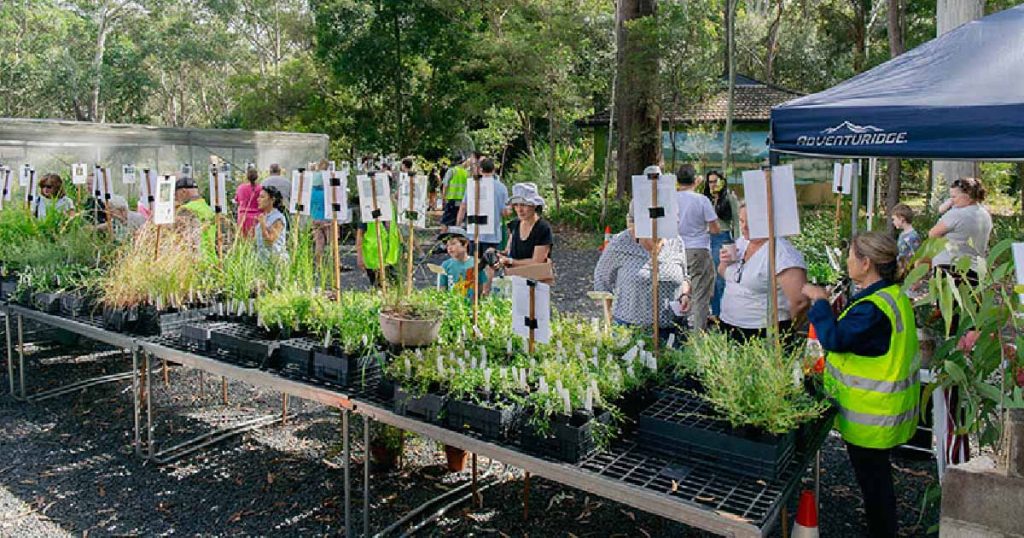 Get Your Free Native Plants This March