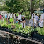 Get Your Free Native Plants This March