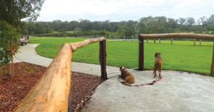 New off-leash Dog Park