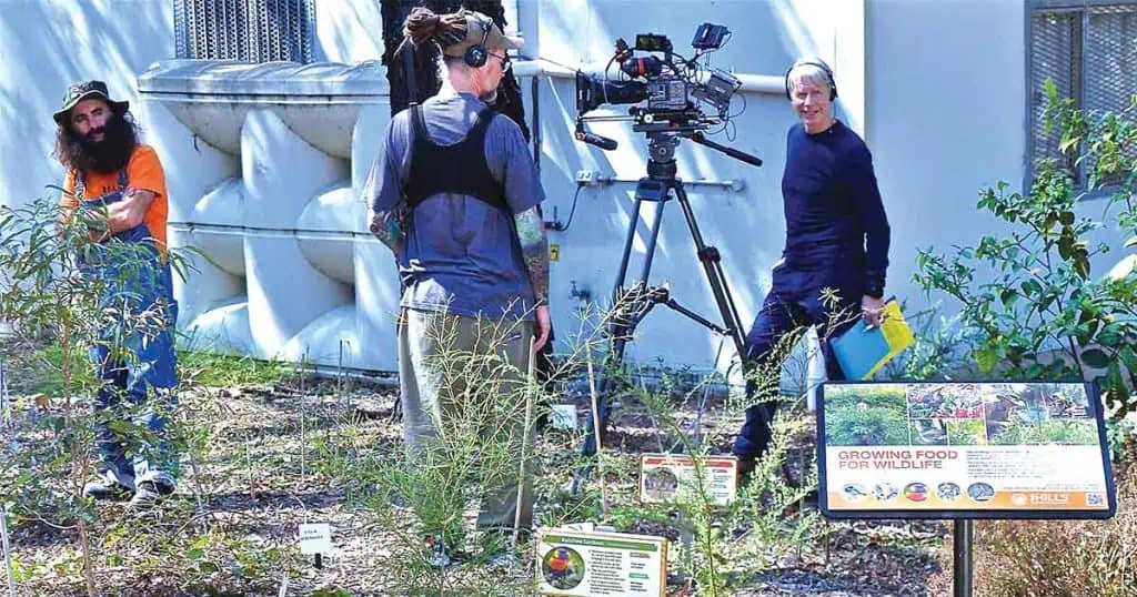 Growing Food for Wildlife Project