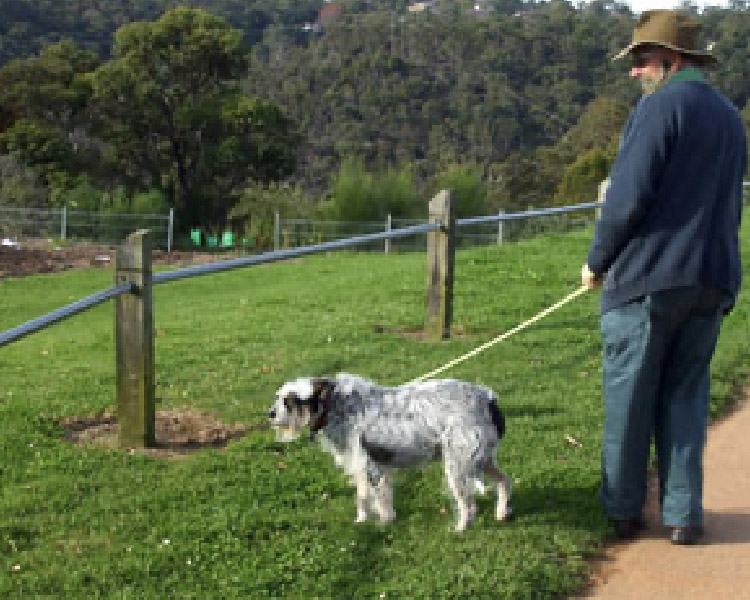 Fagan Park Dog walk