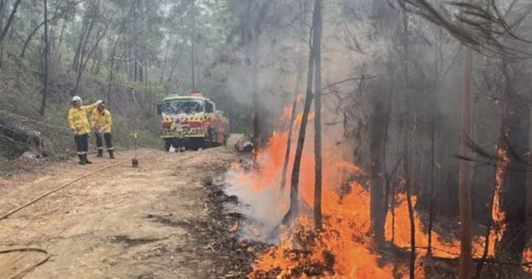 Glenorie Rural Fire Brigade: International Womens Day 2025