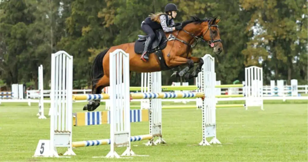 Jasmine Cook: Young Showjumper Heading To Portugal
