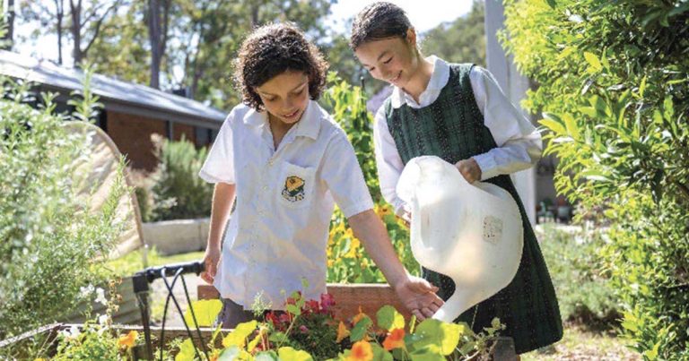 Arcadia Public School