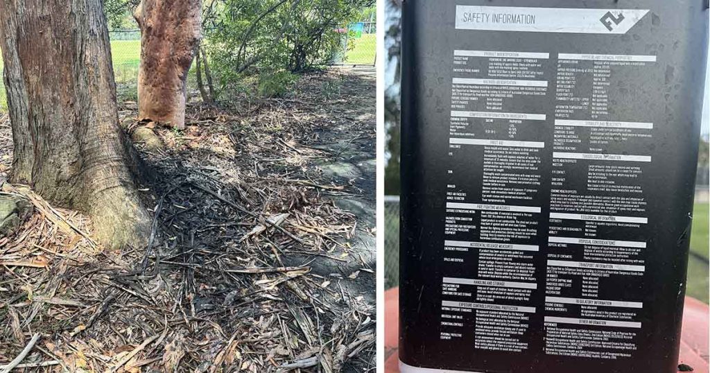 What Are Those Black Stains At Hayes Oval?