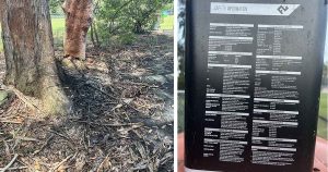 What Are Those Black Stains At Hayes Oval?