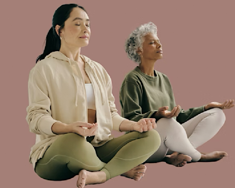 WORKSHOP – Guided Meditation