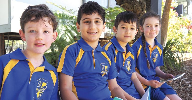 What a Term it’s Been at Hillside Public