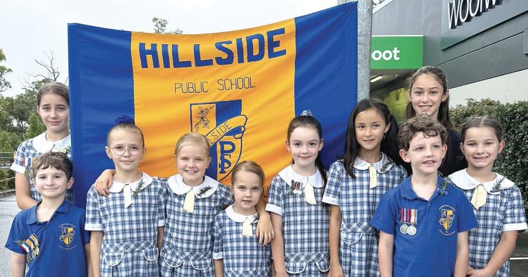 Hillside Public School Happenings