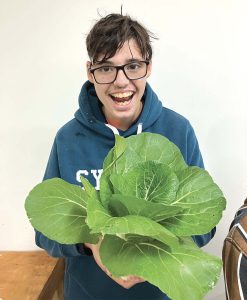 Warrah Organic Farm| Your Groceries Can Make A Difference