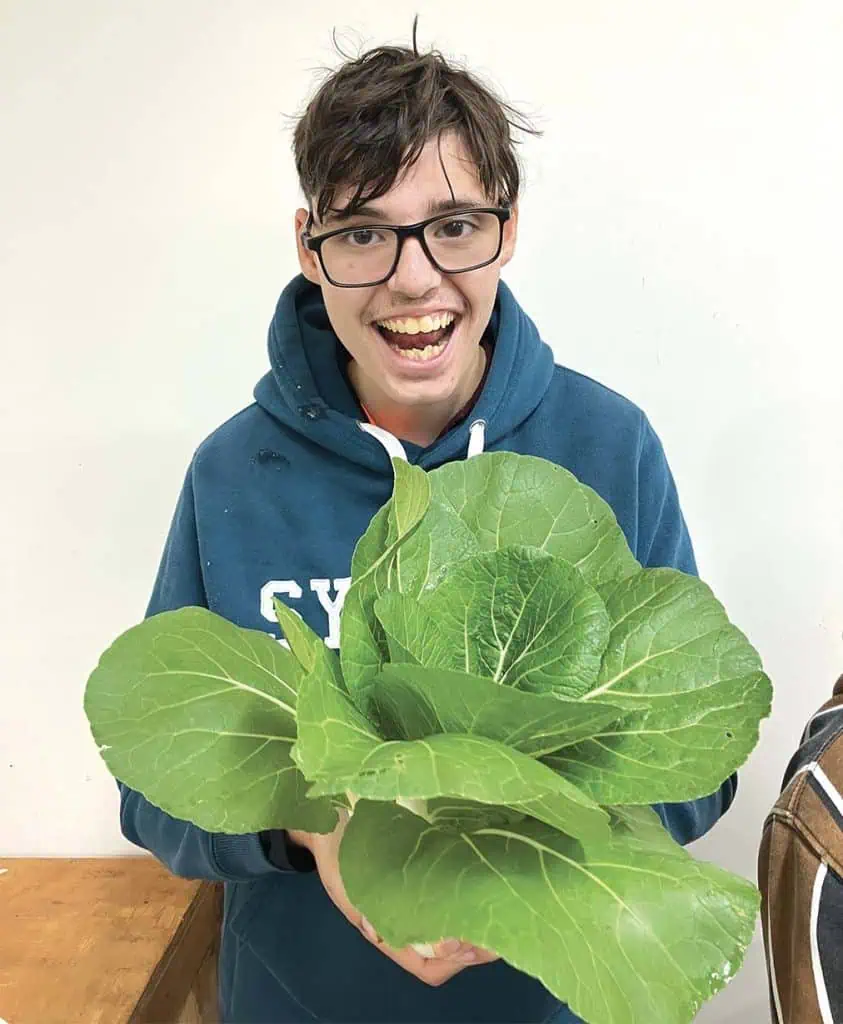 Warrah Organic Farm| Your Groceries Can Make A Difference