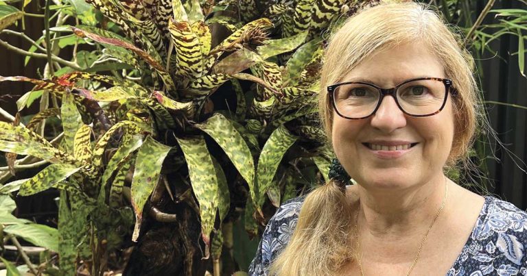 Bromeliads in a Tropical Garden - Edwina Wain