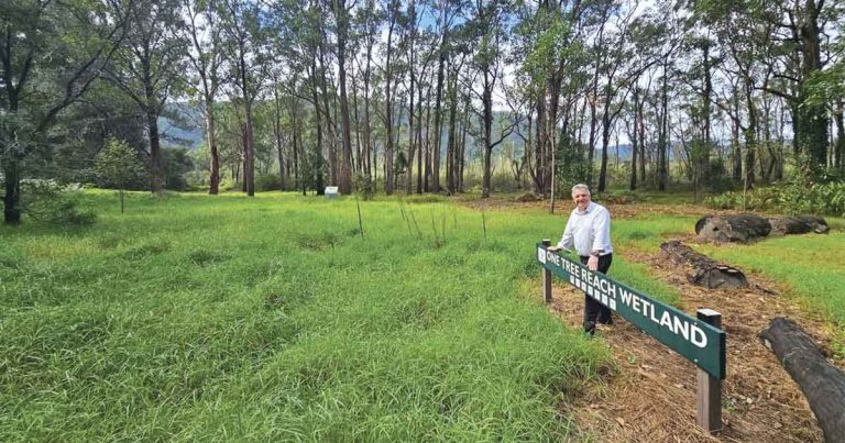 One Tree Reach Wetland