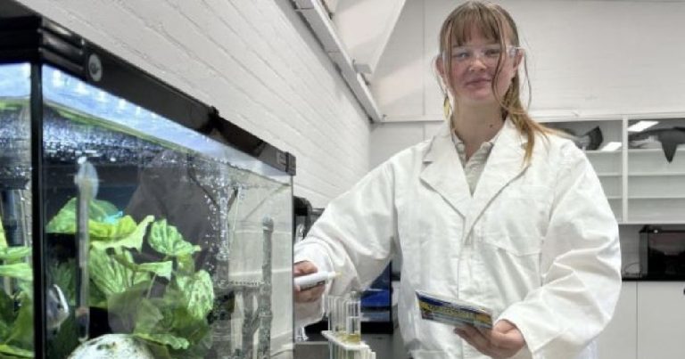 Bright Futures, Unique Paths Lead To Windsor High Success